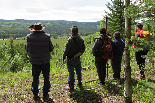 AWN consultation team looking over ridge